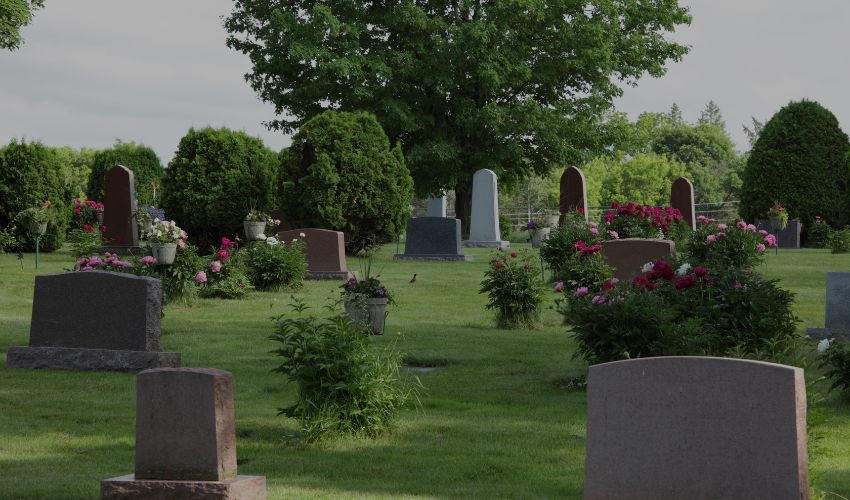 cementerio, sitio para visitar a esas personas que ya no estan con nosotros